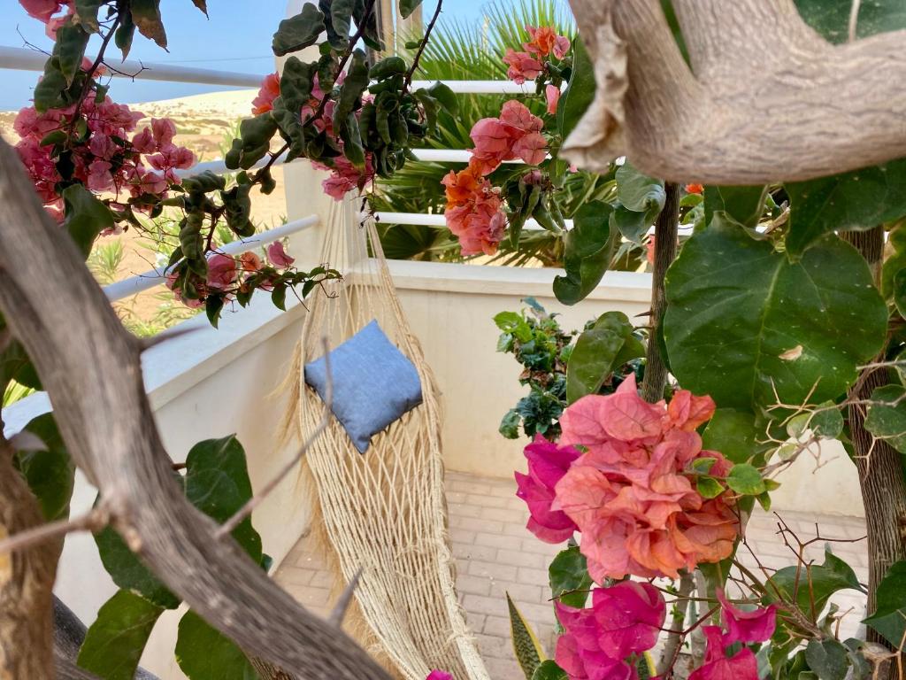a rattan hammock hanging on a balcony with flowers at Terra Kriola in Sal Rei