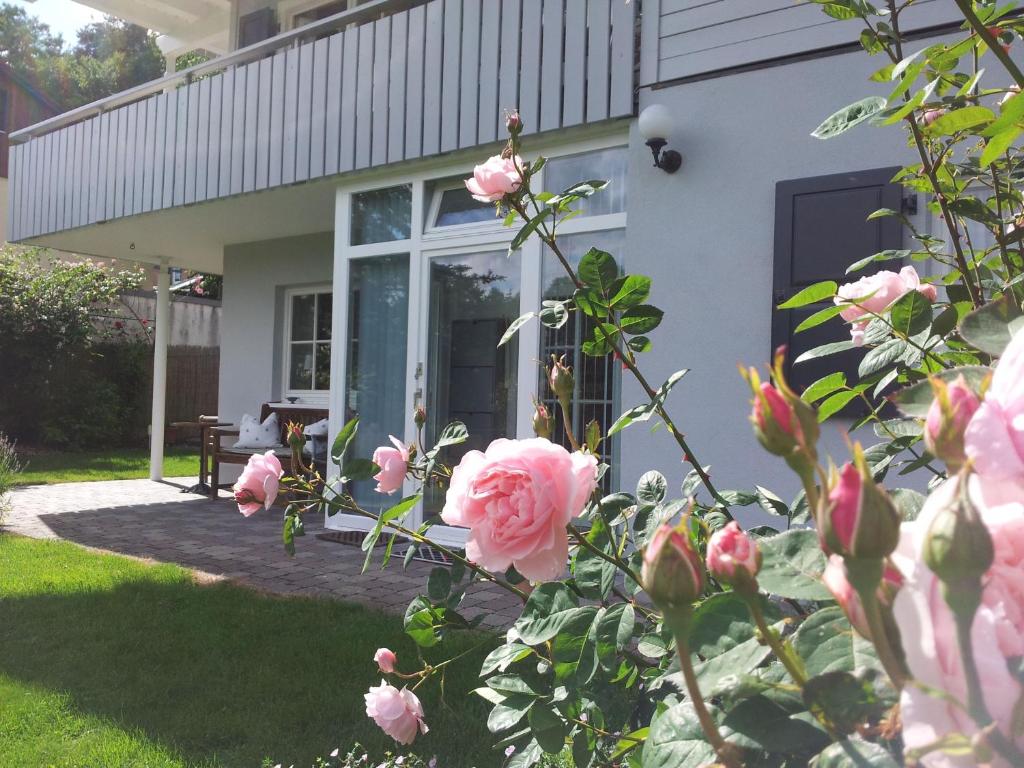 LautertalにあるFerienwohnung Dornのピンクのバラが目の前にある家