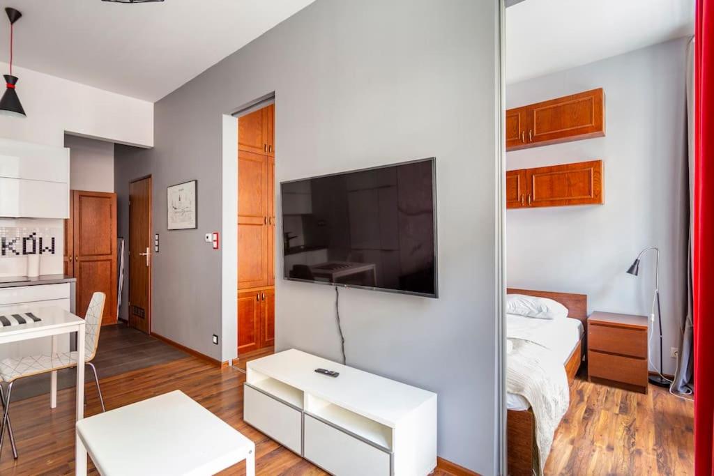 Televízia a/alebo spoločenská miestnosť v ubytovaní Floriańska Glamour Apartments
