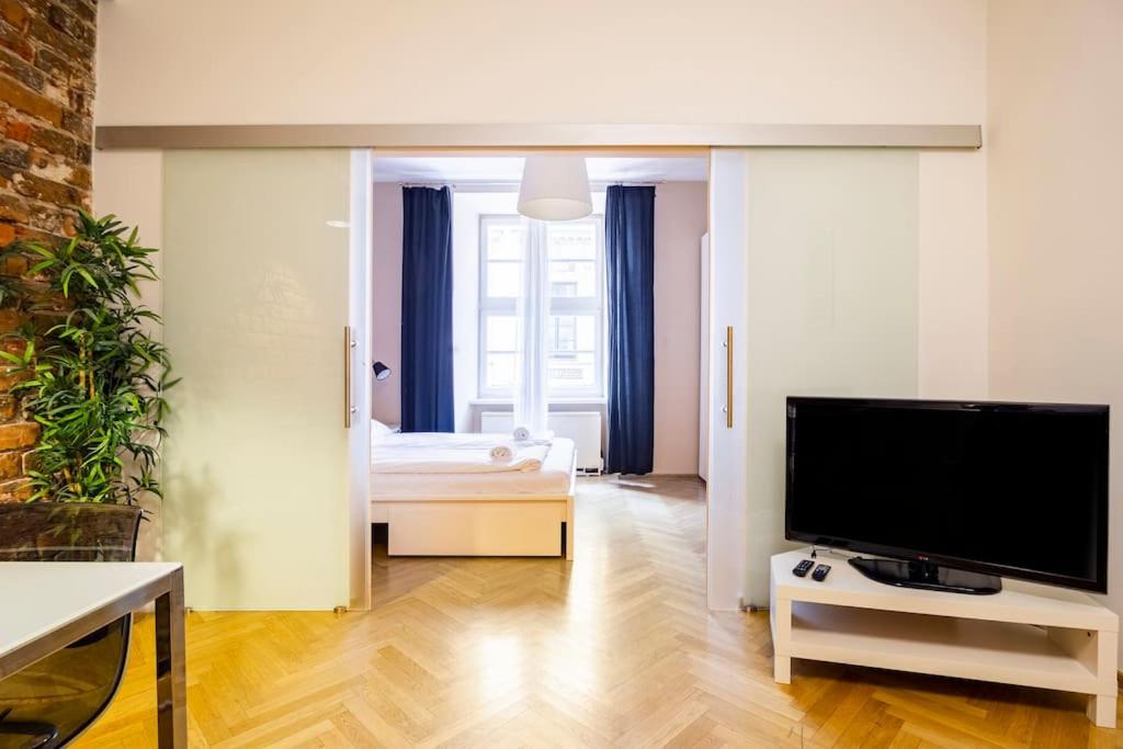 Televízia a/alebo spoločenská miestnosť v ubytovaní Floriańska Glamour Apartments