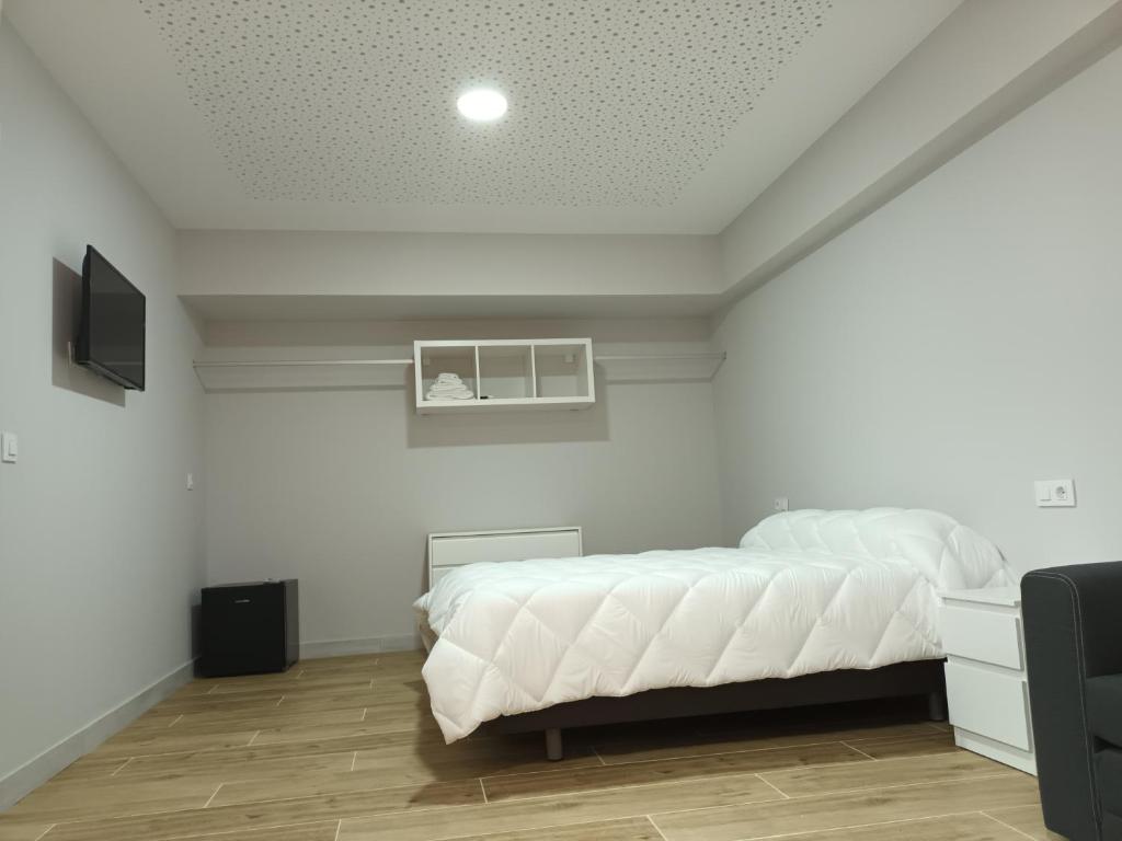 TV a/nebo společenská místnost v ubytování Hostal Cerro del Castillo jumilla