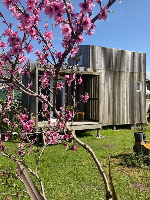 un arbre aux fleurs roses devant un bâtiment dans l'établissement Petite Maison Contemporaine, à Saubion