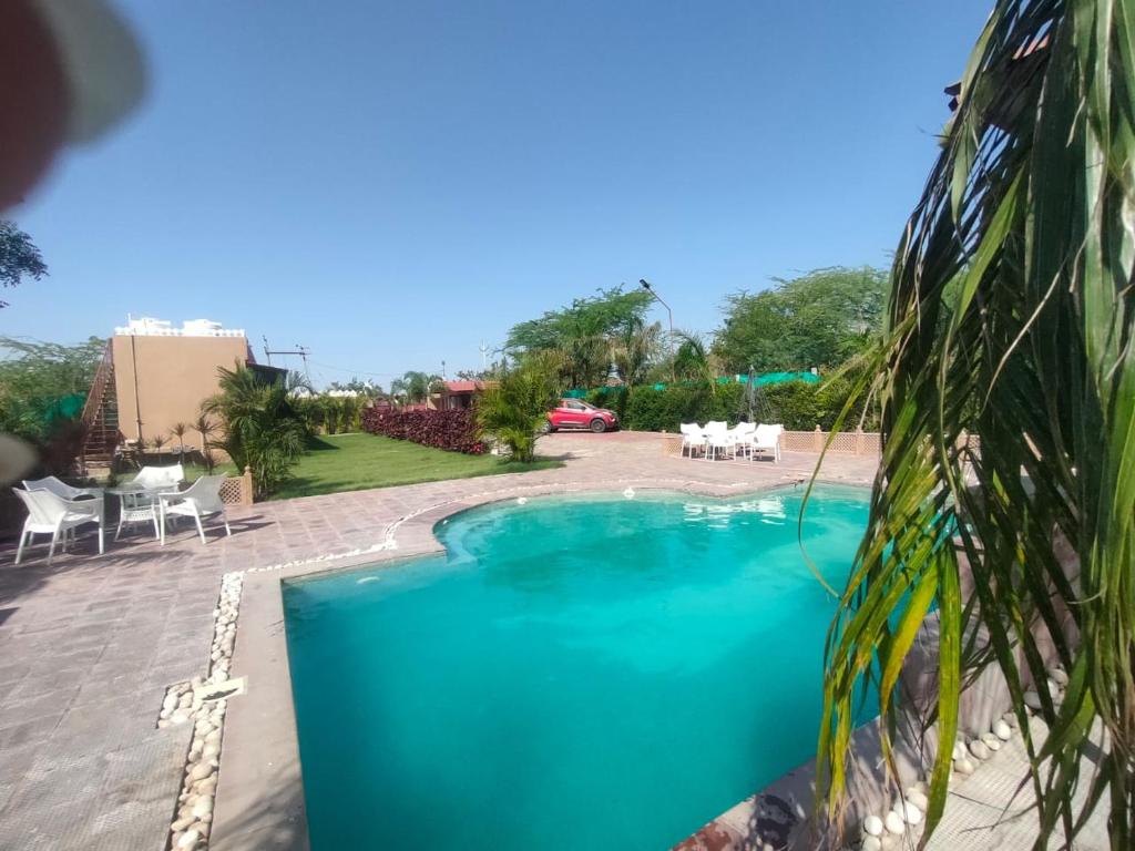 vista sulla piscina in un cortile di Aloha Farm & Camp a Udaipur