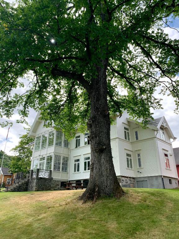 a large white house with a tree in front of it at Storsand Gård in Trondheim