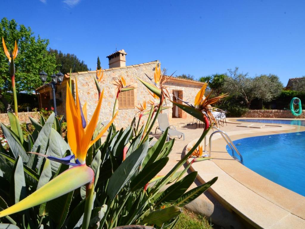 The swimming pool at or close to Can Rovey, pool and gardens in Inca
