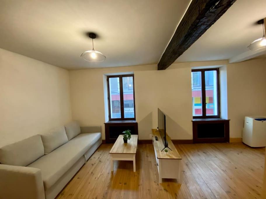 uma sala de estar com um sofá e uma mesa em Appartement de 50m2 au centre de Cusset em Cusset