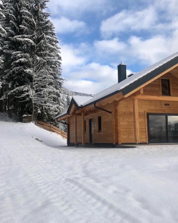 Blockhaus Waldspiel -Adults Only v zimě