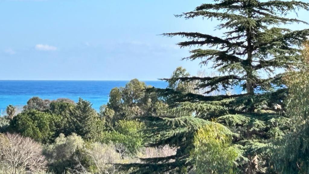 a group of trees with the ocean in the background at Appartement climatisé vue mer in Antibes