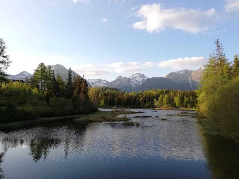 a river with trees and mountains in the background at Útulný 3-izbový byt v srdci Tatier in Vysoké Tatry