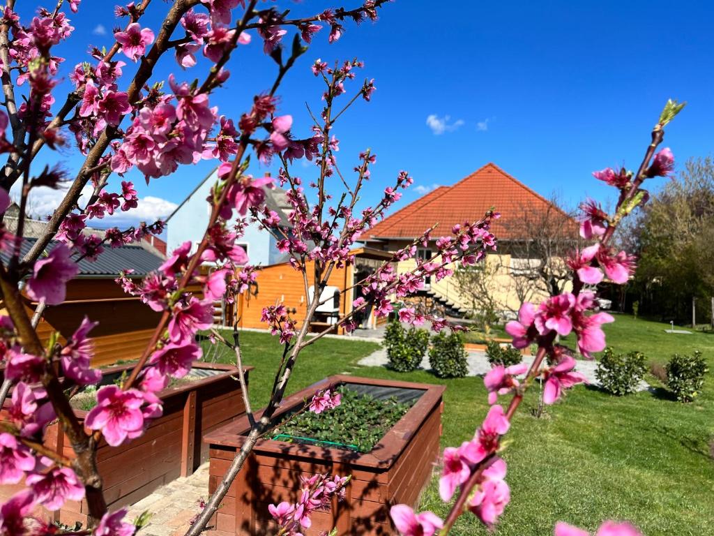 einen Garten mit rosa Blumen in einer Holzkiste in der Unterkunft Négy Évszak Vendégház Nyúl in Nyúl