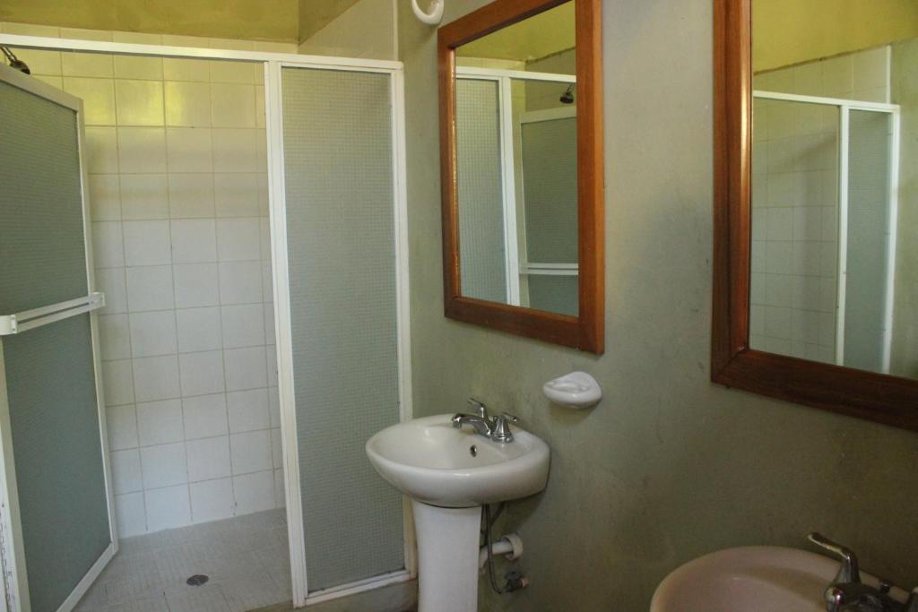 Backpackers Inn - Lit Simple Dans La Salle De Dortoir Masculin