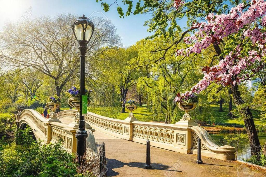 a bridge in a park with a flowering tree and a street light at Designer Duplex near Central Park in New York