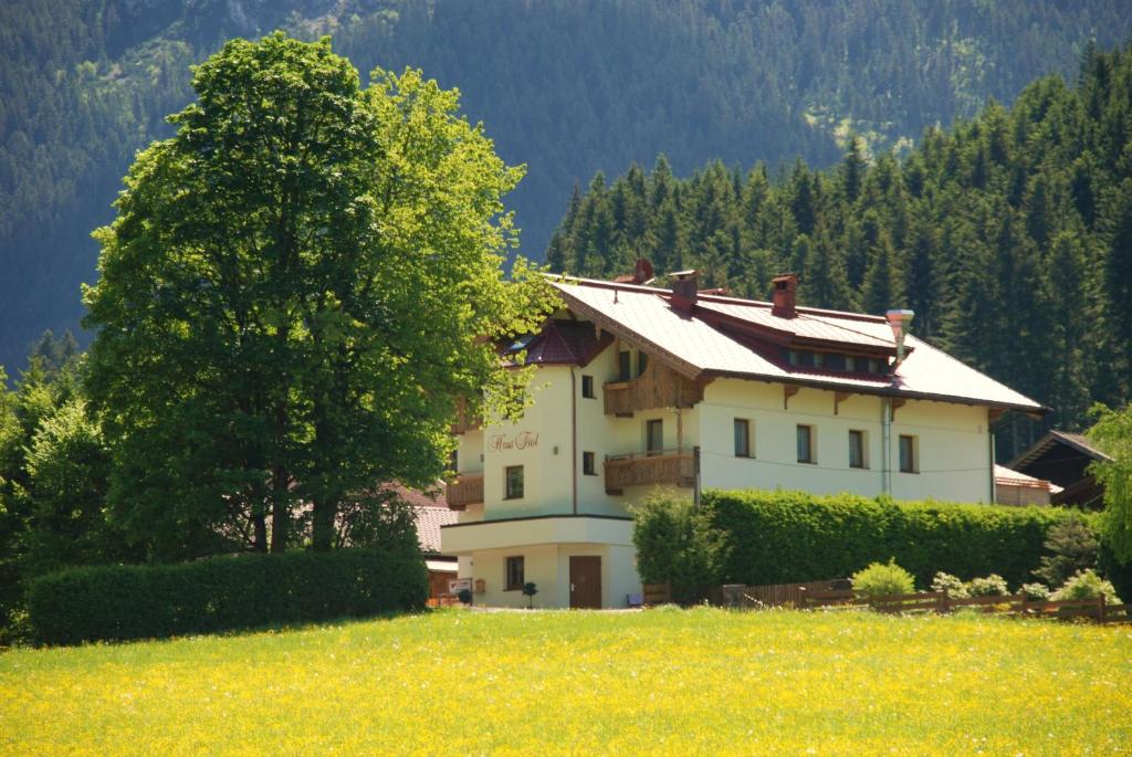 a house in the middle of a field with a tree at Haus Tirol in Brixen im Thale