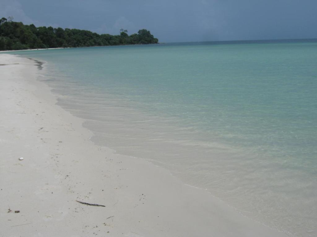 Coconut Beach Bungalows View