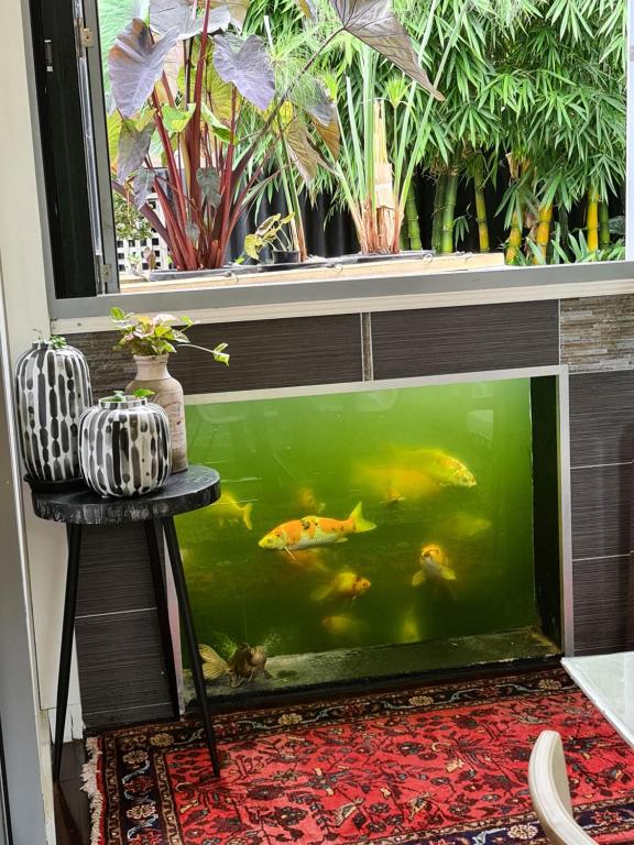 a large fish tank in a room with a window at Bamboo House, Close to the City & Airport & Train station and Brighton Le Sands Beach in Sydney
