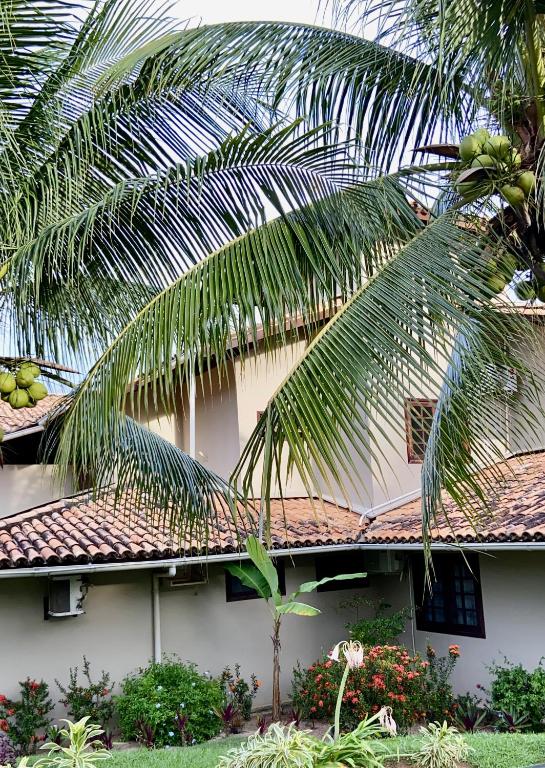 a house with a palm tree in front of it at Apartamento Pimenta Rosa, 400m do mar, rua principal in Imbassai