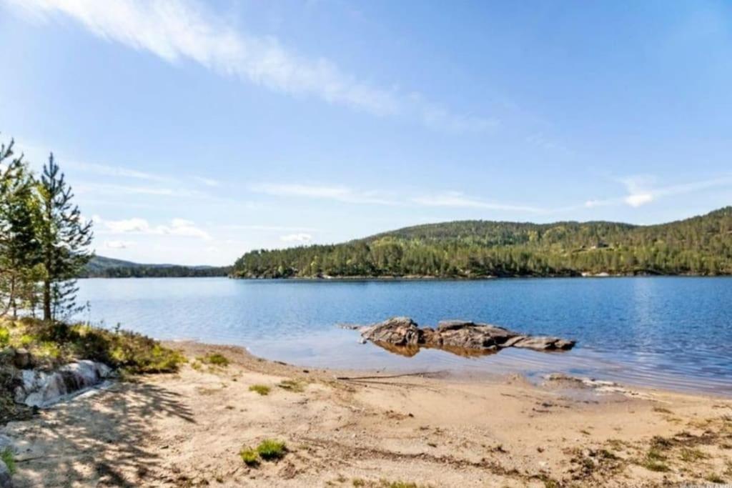 a view of a lake with a rock in the water at Vacation apartment in Hornnes