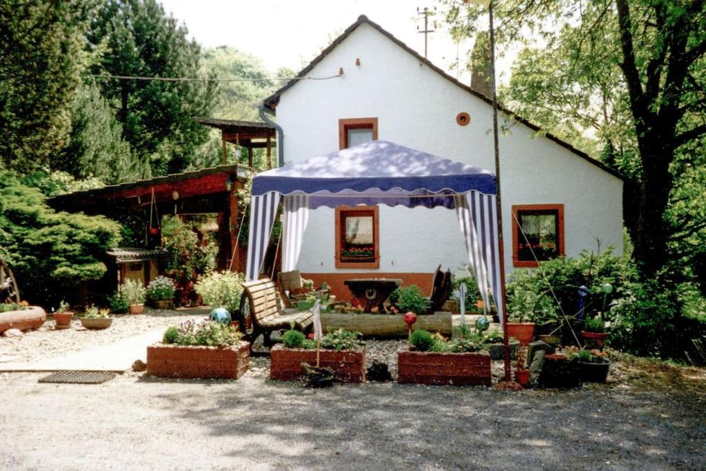 a house with a tent in a yard with plants at Haus im Hanfbachtal 