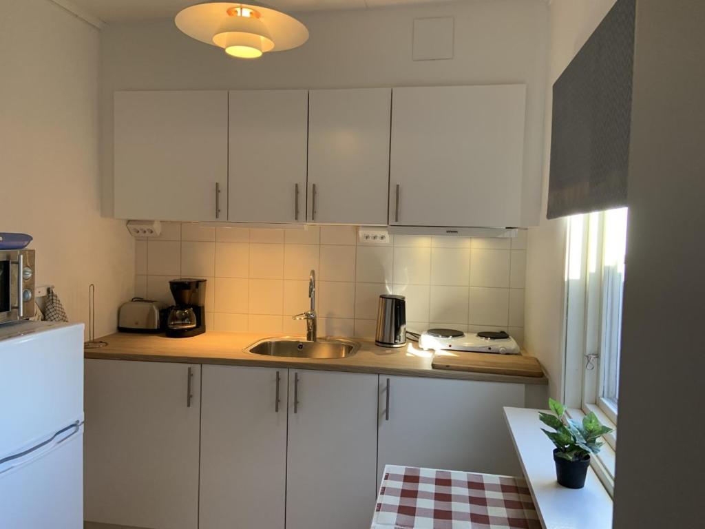 Kuchyň nebo kuchyňský kout v ubytování Villa Linneryd 1