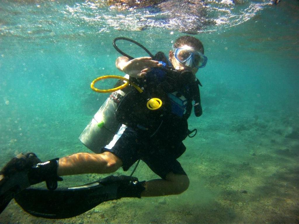a man is swimming in the water at Arab Divers Dive Center and Bed & Breakfast in Aqaba