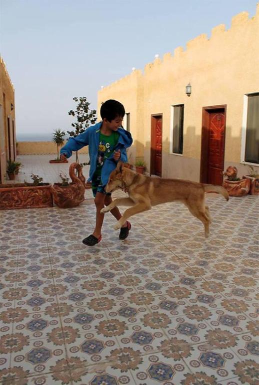 a man with a dog in front of a building at Arab Divers Dive Center and Bed & Breakfast in Aqaba