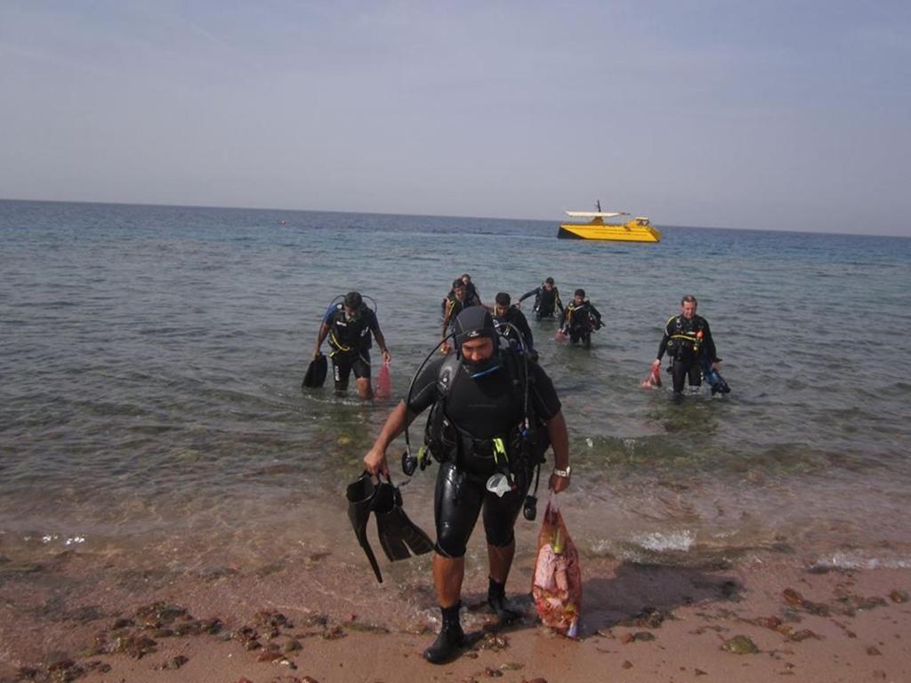 a group of people walking into the water at Arab Divers Dive Center and Bed & Breakfast in Aqaba