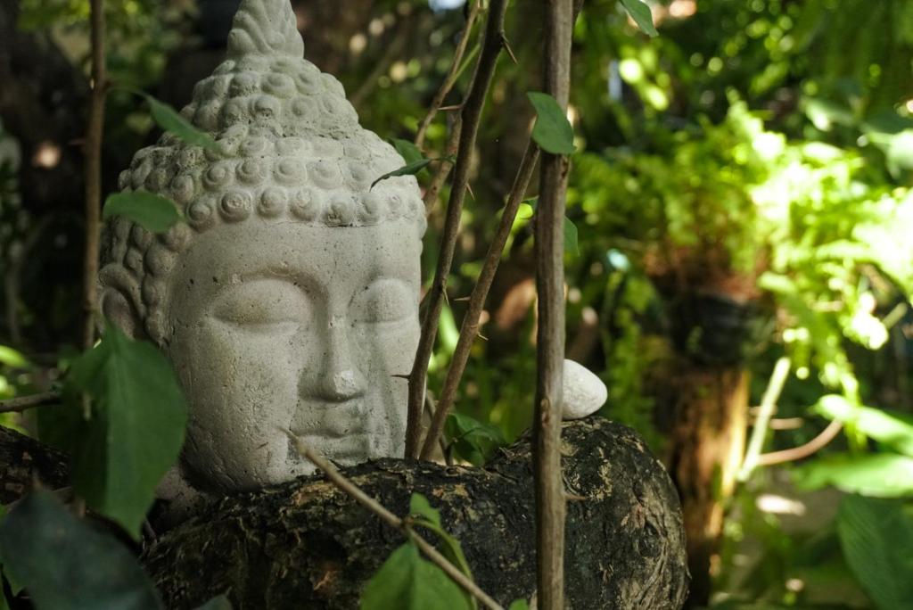 una estatua de una cabeza en un jardín en Pousada Zen Caraiva, en Caraíva