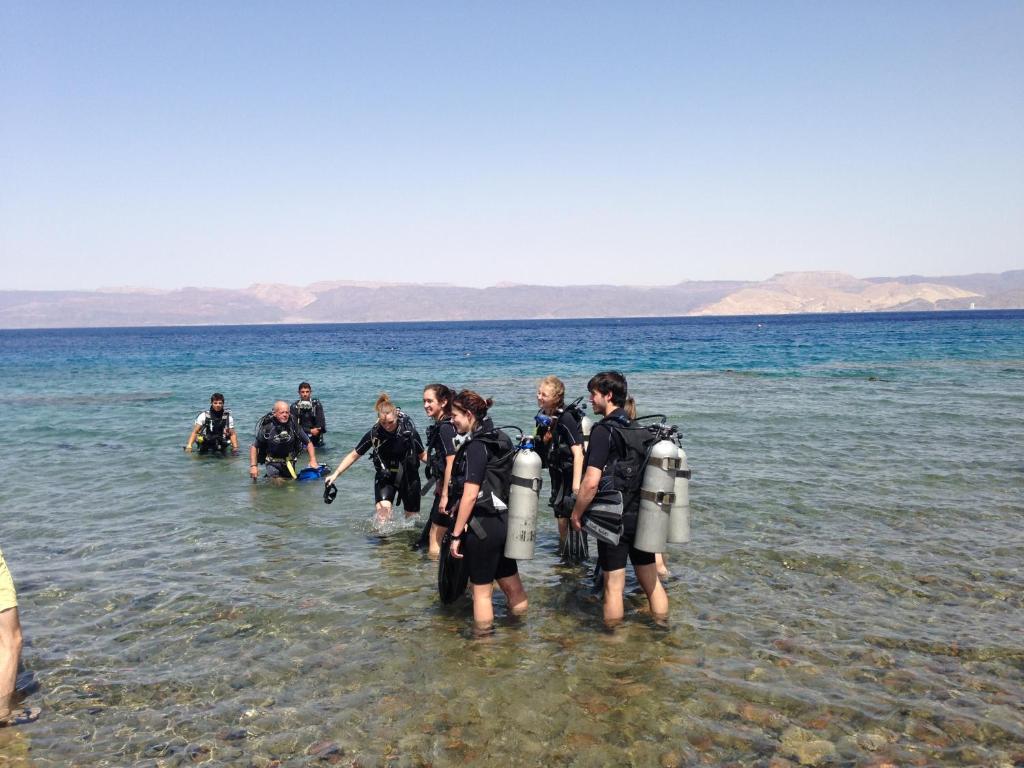 a group of people standing in the water at Arab Divers Dive Center and Bed & Breakfast in Aqaba