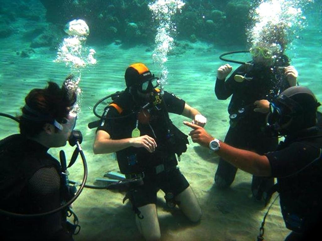 a group of people standing in the water at Arab Divers Dive Center and Bed & Breakfast in Aqaba