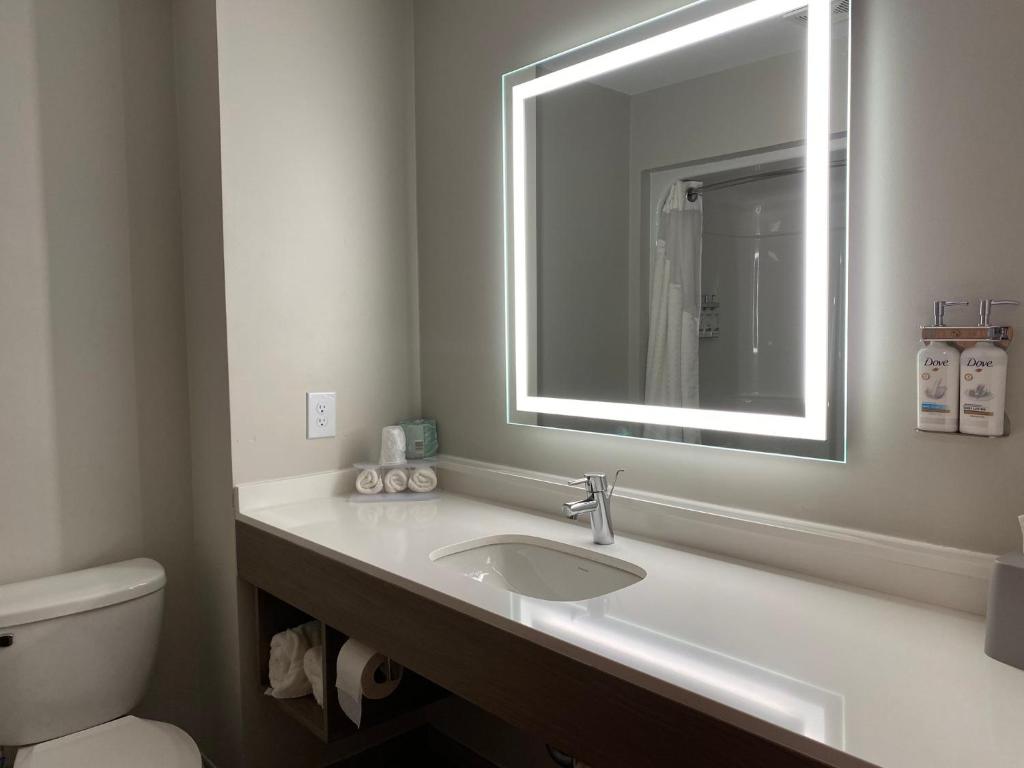 Holiday Inn Express Plymouth by IHG - Suite Doble Ejecutiva - No Fumadores