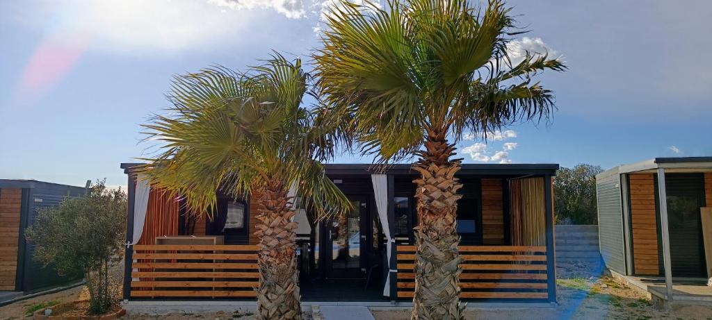 two palm trees in front of a house at SAK Mobile Home Pirovac in Pirovac