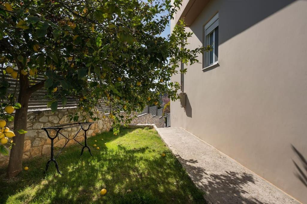 A garden outside Charilena's luxury apartment