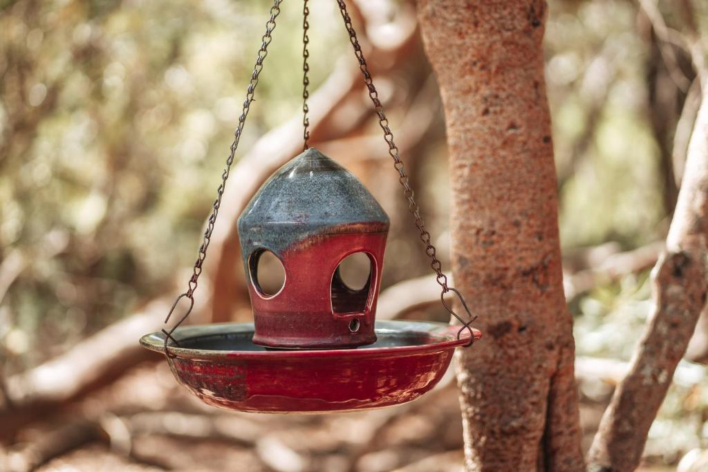 Fotografie z fotogalerie ubytování Bussells Bushland Cottages v destinaci Margaret River