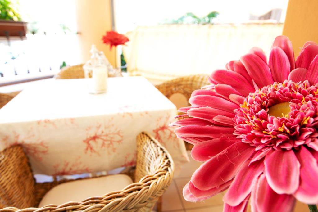 Fotografie z fotogalerie ubytování Hotel Villa Gioiosa v Rimini