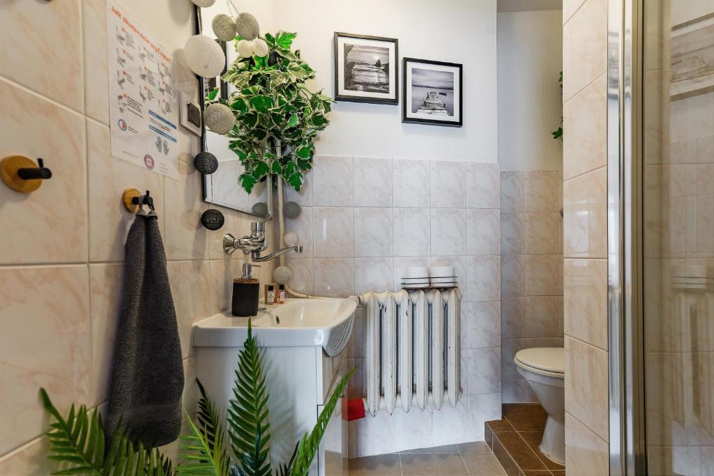 Pokoje Gościnne U Małgorzaty Jacuzzi & Sauna - 17