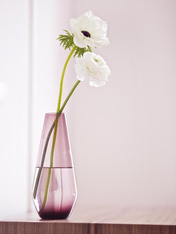 Fritz im Pyjama - Resim 19