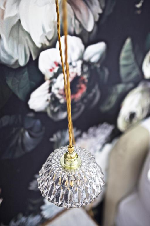 Fritz im Pyjama - Resim 12