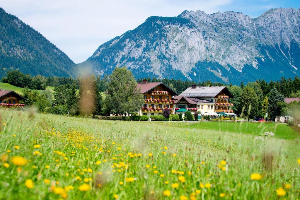 un campo de flores frente a una montaña en Landhotel Häuserl im Wald, en Gröbming