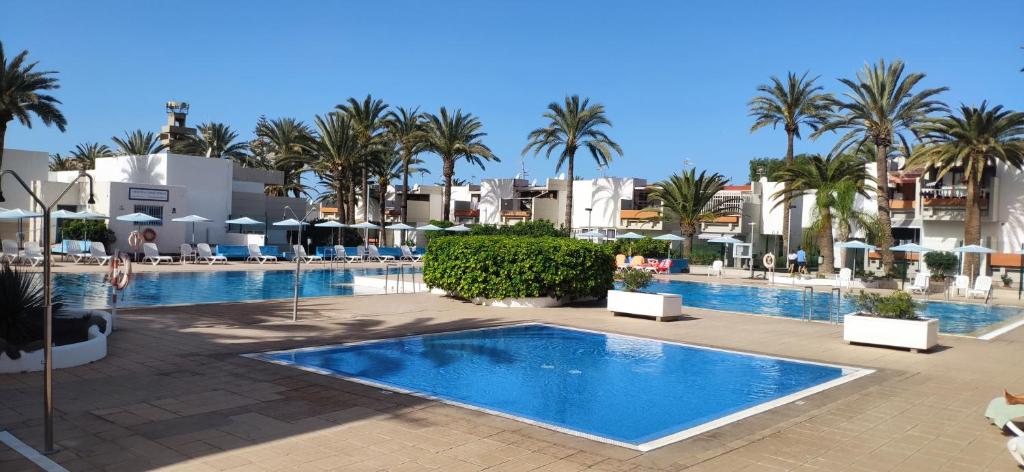 a pool at a resort with palm trees and buildings at SIMPLE Apartment Frontera Primavera POOL in South TENERIFE in Costa Del Silencio