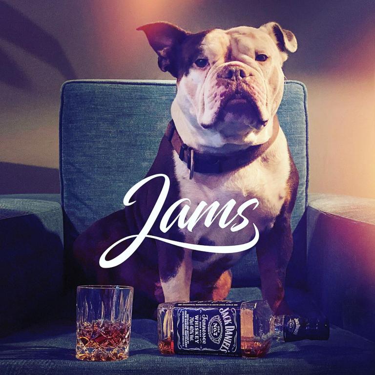 Domácí mazlíčci ubytovaní s hosty v ubytování Design-Hotel JAMS