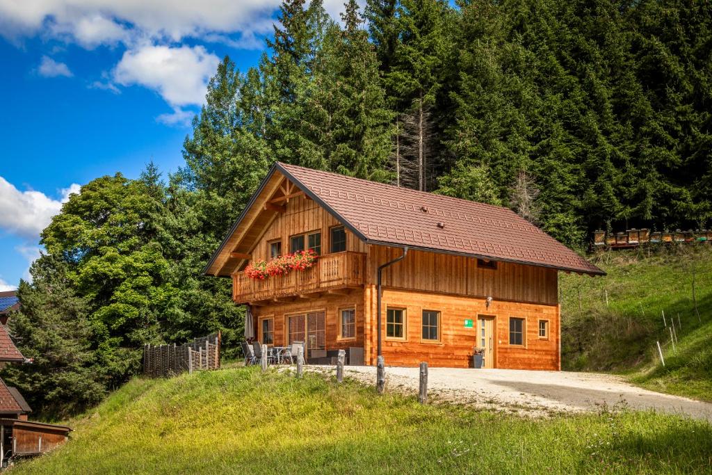 Príroda v okolí dovolenkového domu