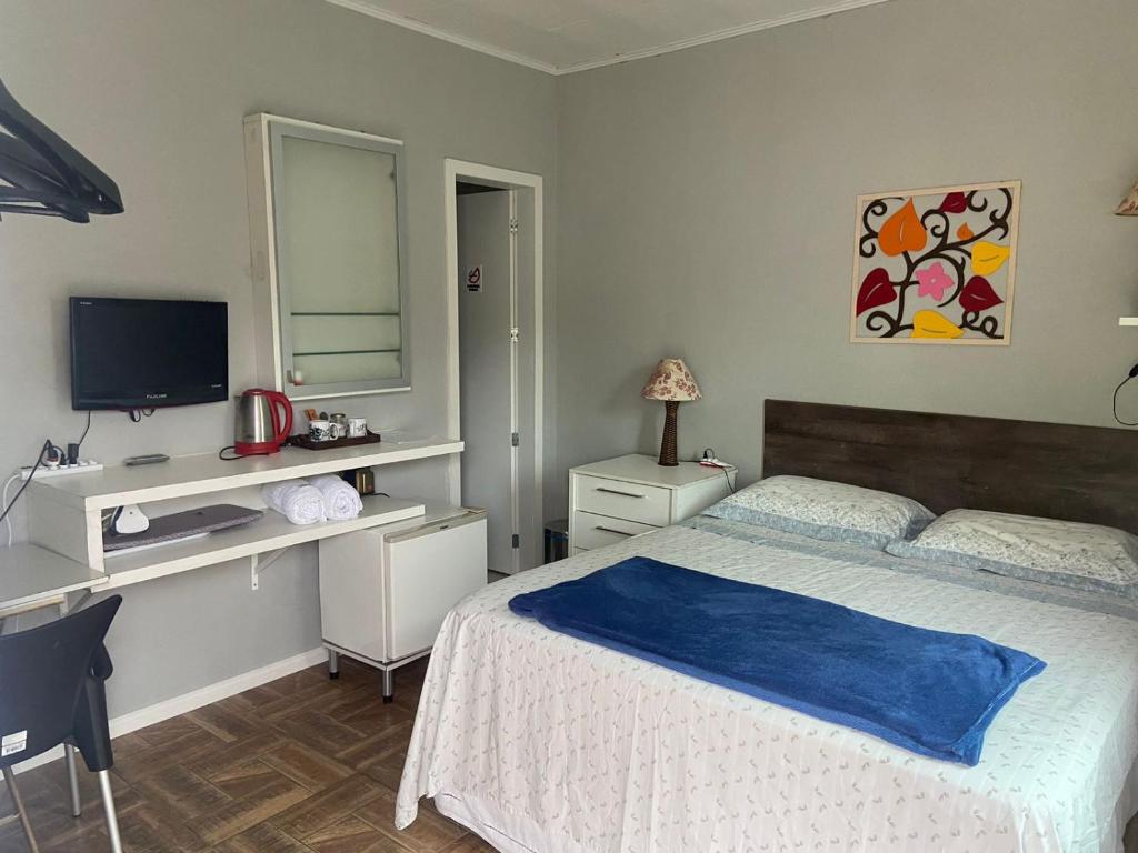 Schlafzimmer mit einem Bett, einem Schreibtisch und einem TV in der Unterkunft Espaço aconchegante Blumenau in Blumenau