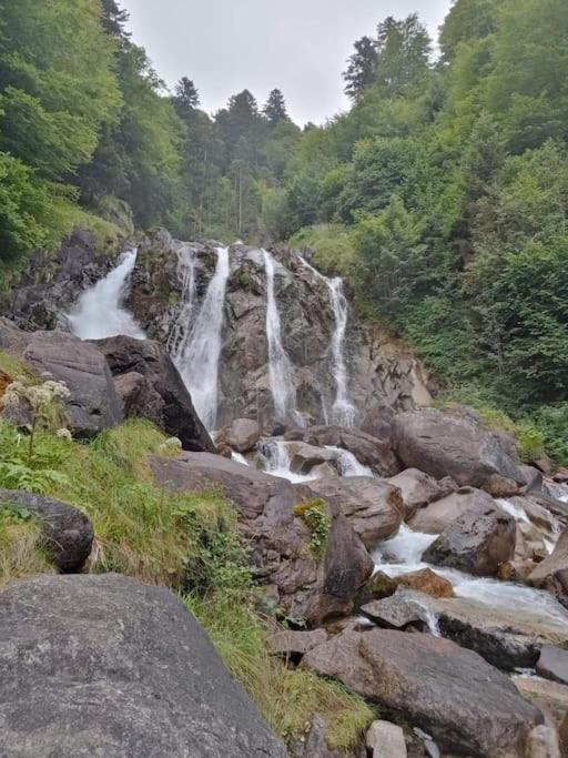 Príroda v okolí apartmánu