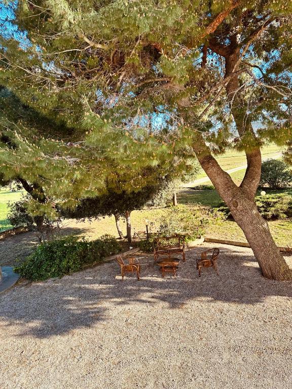 a picnic table and benches under a tree at Agricampeggio La Piaggia - Agriturismo in Piombino