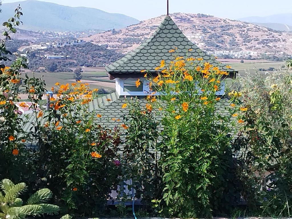 米拉斯Olive Garden Retreat的前面有一堆鲜花的建筑