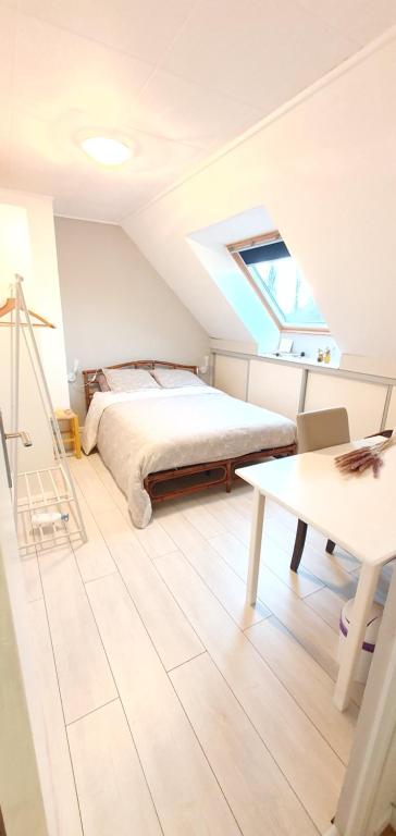 1 dormitorio con 1 cama y tragaluz en Chambre à la Campagne 1o minutes gare TGV 