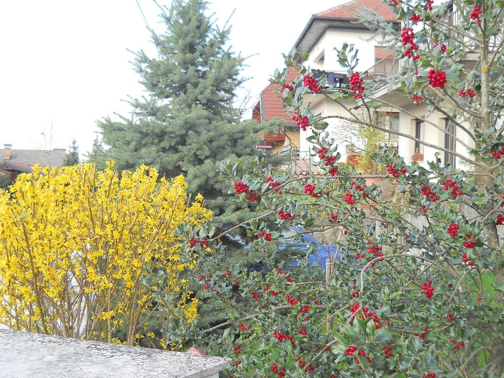 Apartment & Rooms Miboti - 17