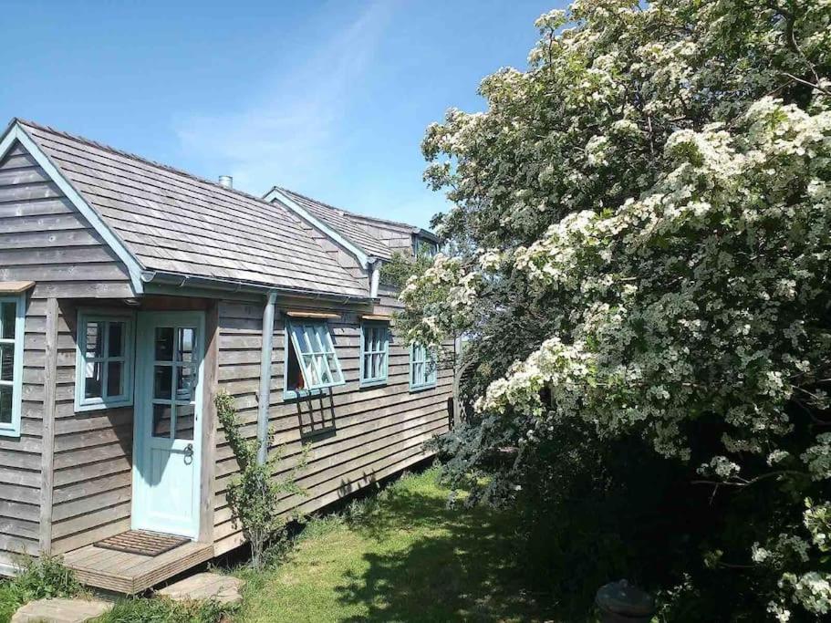 una casa con un árbol floreciente delante de ella en Tiny House on isolated farm by the Cornish Coast en Bude
