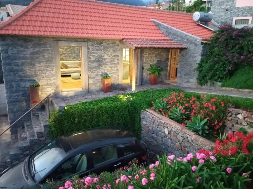 Zahrada ubytování Casa dos Gatos
