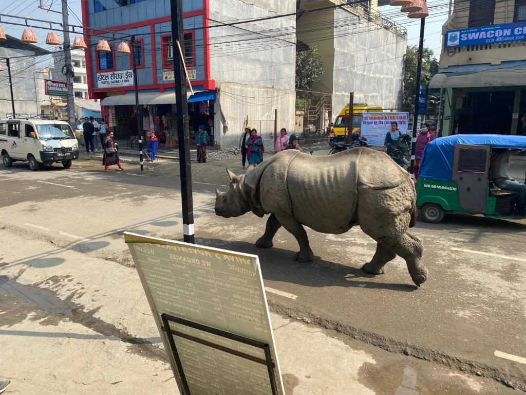 a statue of a rhino walking down a city street at Hotel Shiva's Dream in Sauraha